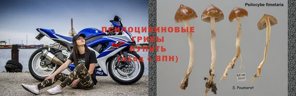 МДПВ Магас