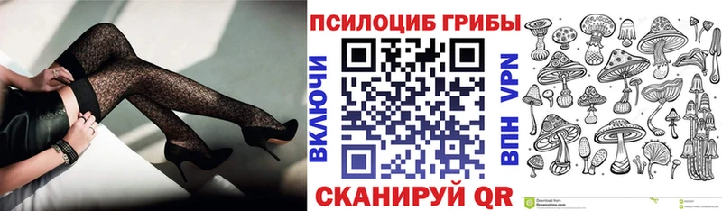 darknet официальный сайт  Вилюйск  Псилоцибиновые грибы прущие грибы  гидра вход 